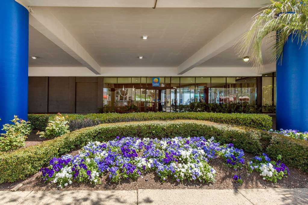 Coastal Hotel&Suites Virginia Beach - Oceanfront Zewnętrze zdjęcie